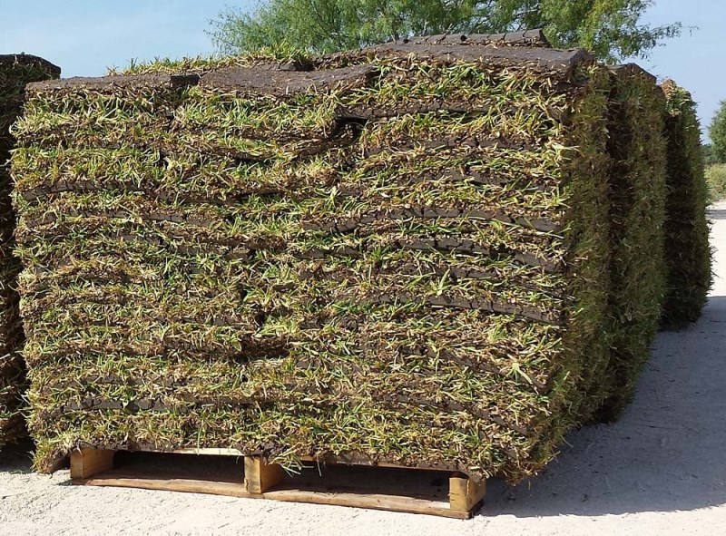 Pallet Of Grass Coverage at Chandra Rush blog