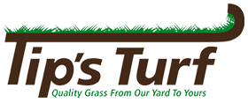 Austin Grass Supplier Central Texas