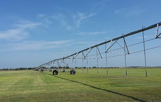 Grass & Tree Supplier